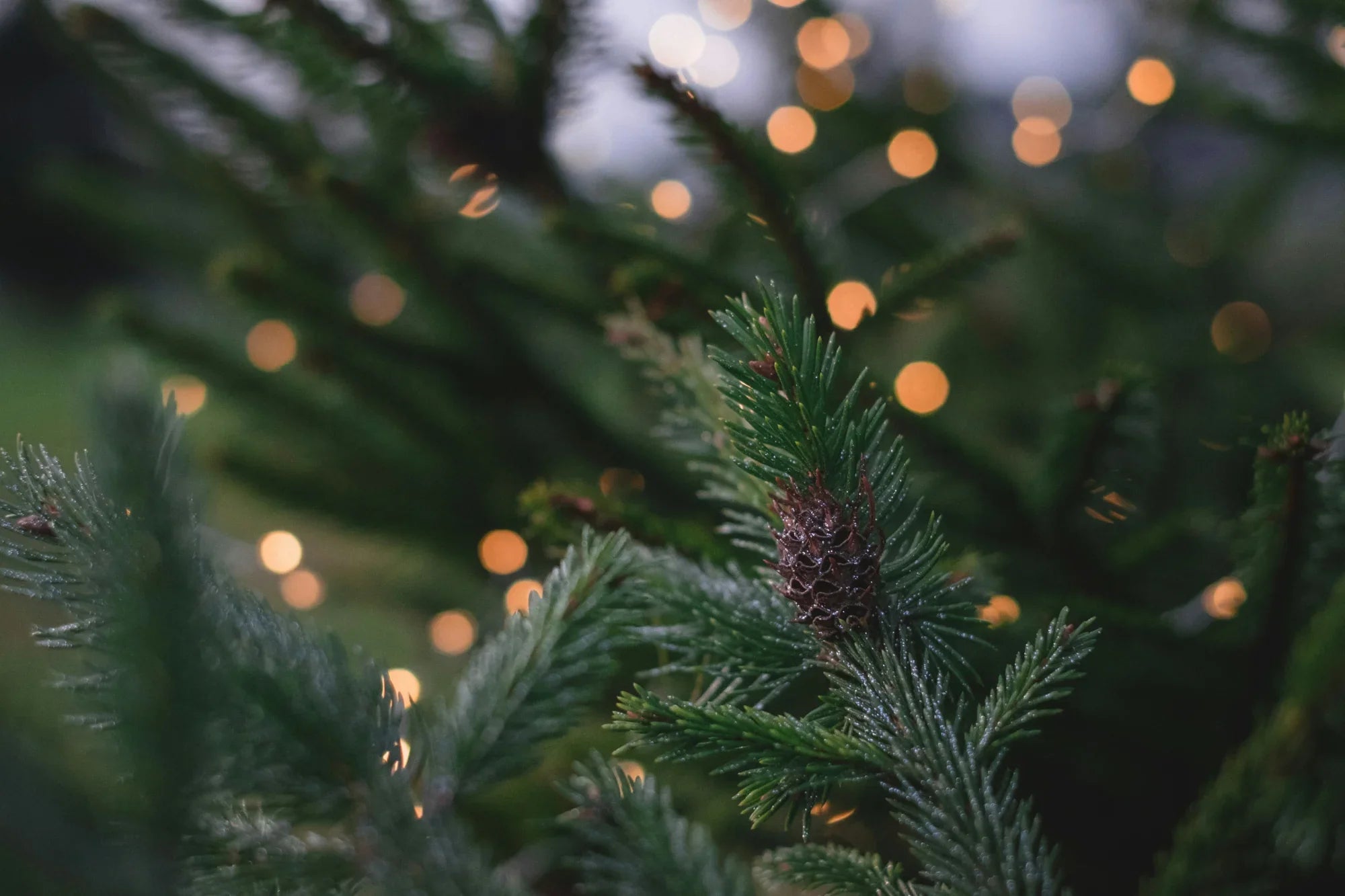 Merino wool Gift inspiration
