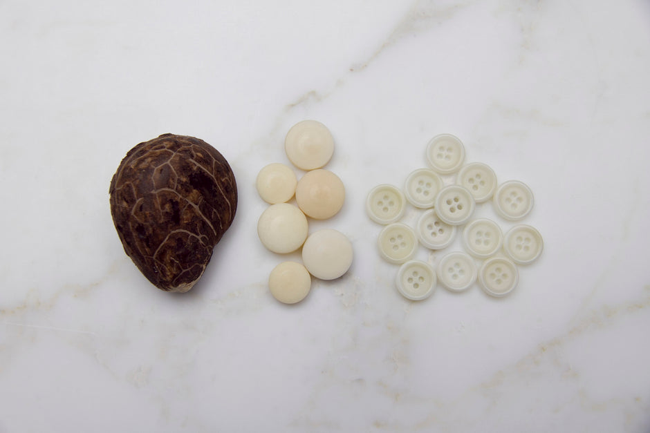 buttons made from corozo nuts