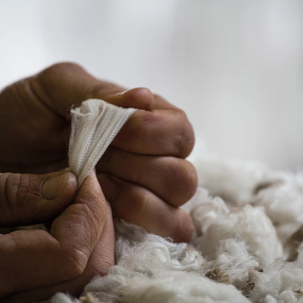 Close-up of hands holding a piece of merino wool fibre against a blurred background