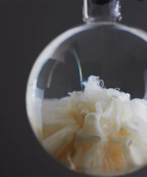 merino wool fibre in science glass bulb